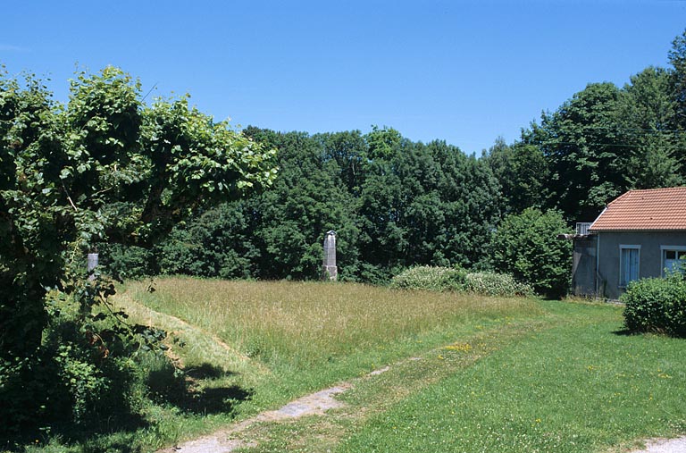 Partie nord : vue d'ensemble de la prairie et des arbres situés au nord-est.