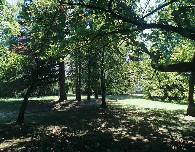 Partie sud : sous-bois à l'est de l'allée menant à la maison du directeur.