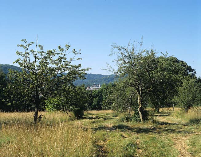 Partie sud : vue d'ensemble de la prairie, depuis le verger au sud de la maison du directeur.