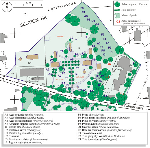 Plan de détail de la partie nord, avec identification des arbres.