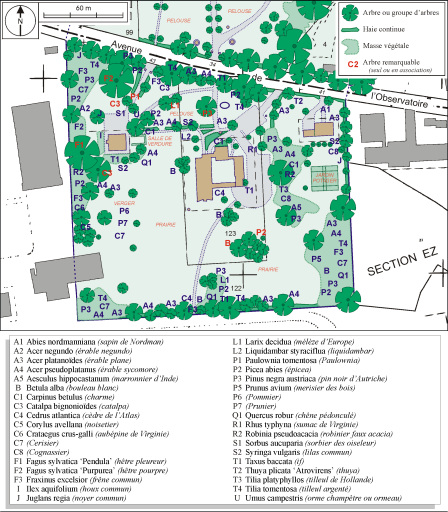 Plan de détail de la partie sud, avec identification des arbres.