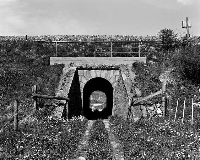 Pont ferroviaire dit aqueduc (voie ferrée Andelot - La Cluse)