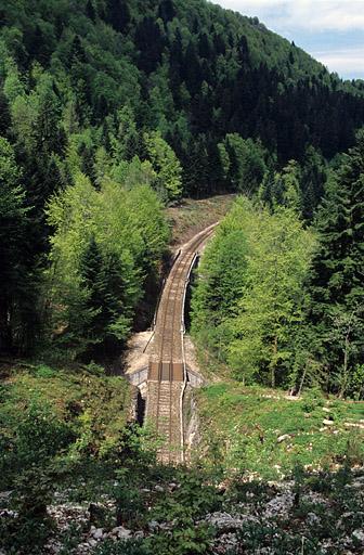 Vue d'ensemble plongeante, depuis la tête ouest du tunnel (côté Andelot-en-Montagne).