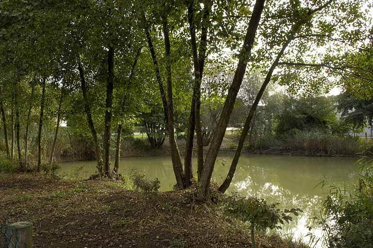 Carrière Roy dite le Trou du Fameux, à Damparis : vue d'ensemble.