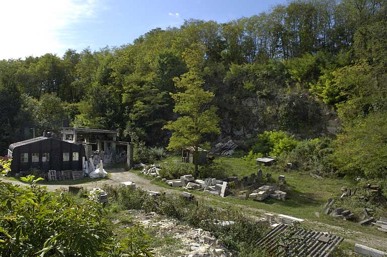 Vue d'ensemble de la carrière et de l'atelier du tailleur de pierre, depuis le nord-est.