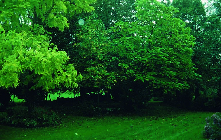 parc du château