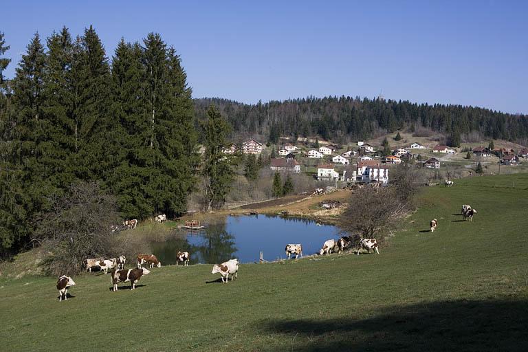 Réservoir : vue d'ensemble, depuis l'est.