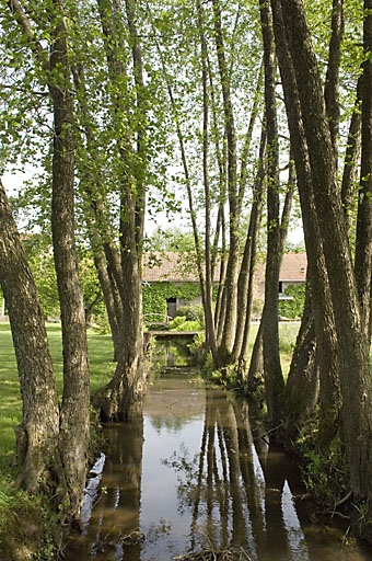 Bief de dérivation. Vue depuis l'aval.