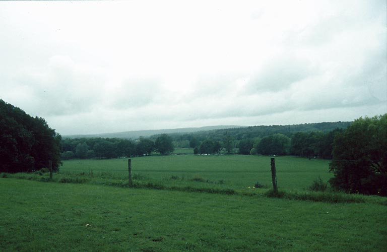 Prés entourés de bois.