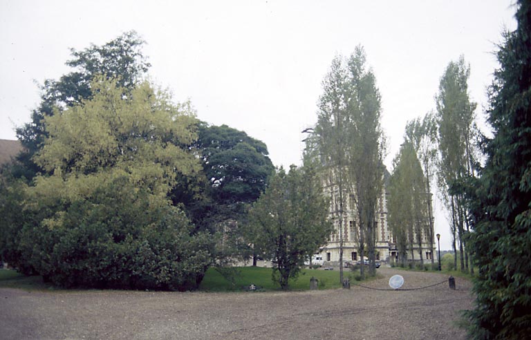 Vue du château derrière les arbres.