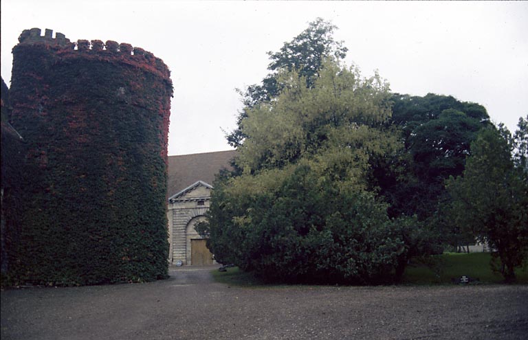 Tour et arbres.
