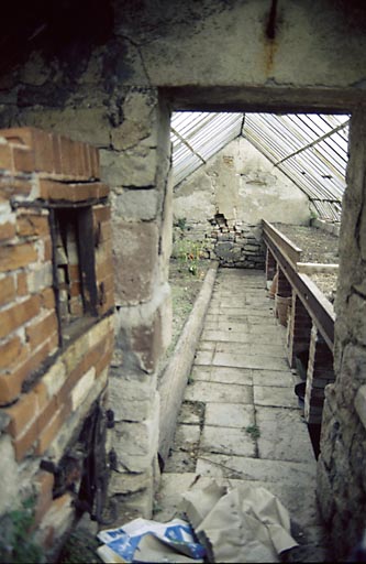 Vue intérieure d'une serre.