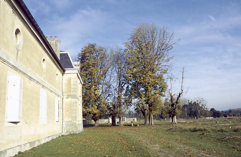 Côté sud du château et marronniers.