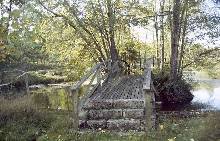 Le pont menant à l'île de l'étang.