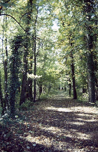 Une allée dans le parc.