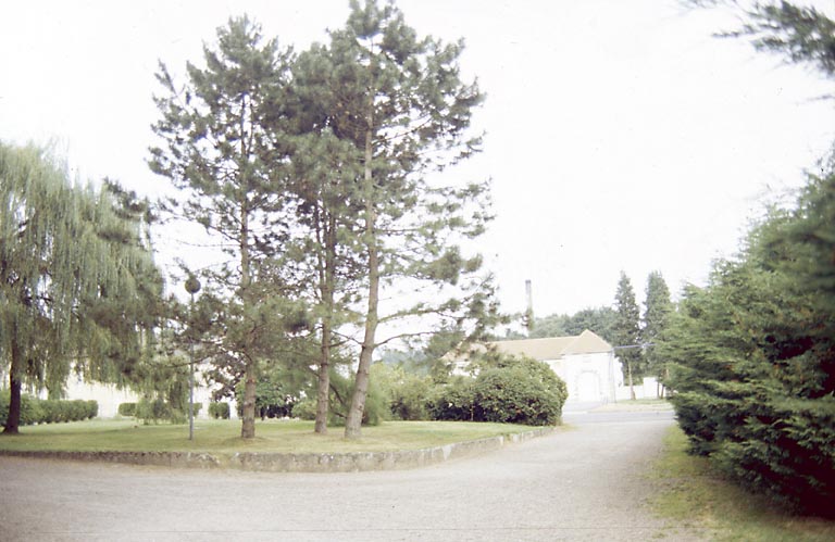 Pelouse et plantations à l'est du château.