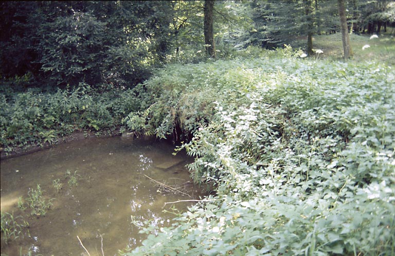Pont (5e) couvert de végétation dans le sous-bois.
