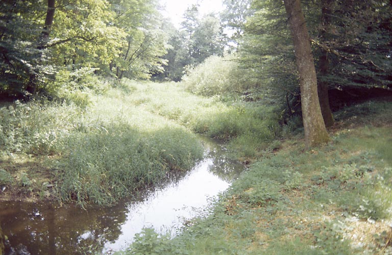 Le ruisseau après le 5e pont, avant la jonction avec le canal.