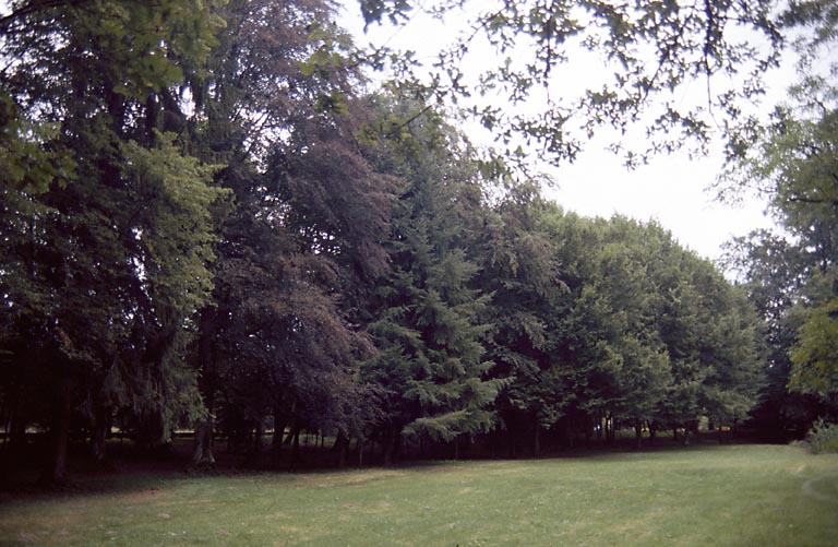 Orée du sous-bois depuis la pelouse au nord du château.