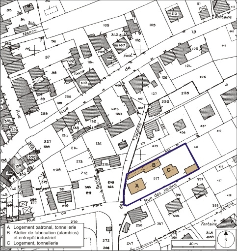 Plan-masse et de situation. Extrait du plan cadastral numérisé, 2008, section AE, 1:1000 réduit à 1:1250. Source : Direction générale des Finances Publiques - Cadastre ; mise à jour : 2008.