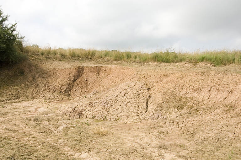 Front de la carrière d'argile.