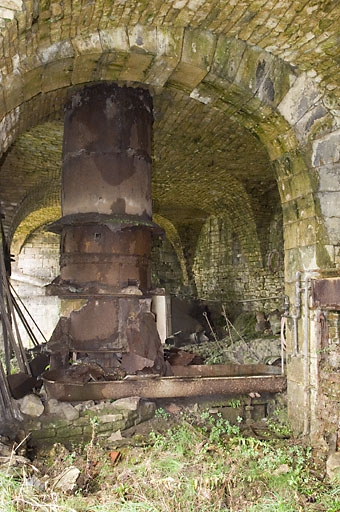 Cubilot ouest, dans son environnement.