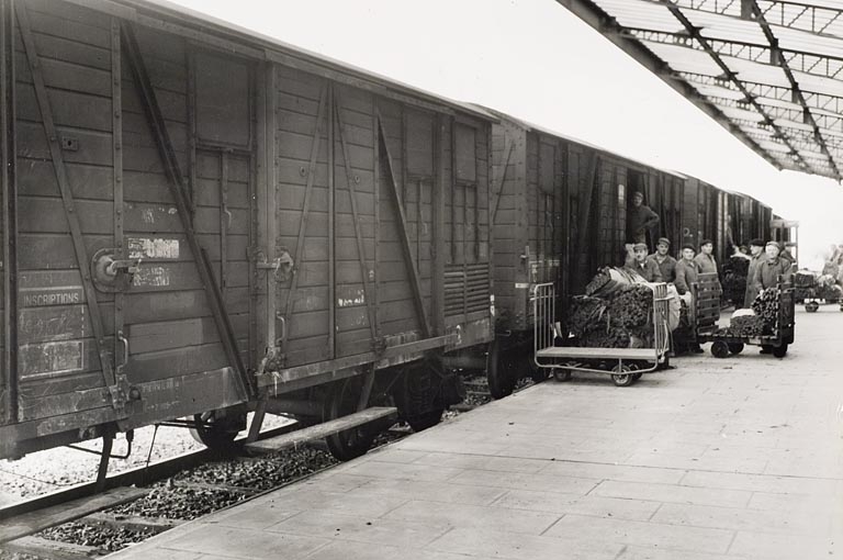 Quai de l'embranchement ferroviaire. Déchargement d'une rame de wagons d'une récolte provenant d'un centre d'achat extérieur.