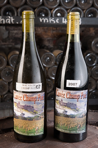Production de la vigne de Champôté, 2007.