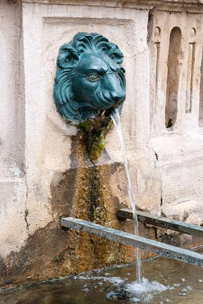Tête de lion ornant la borne fontaine, vue de trois quart.
