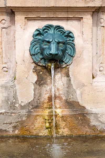 Tête de lion ornant la borne fontaine, vue de face.