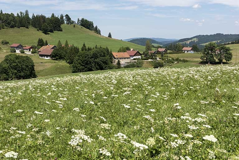 Le hameau du Grand Mont, Les Gras.