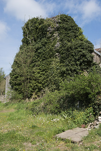 Ruines de l'ancien château.