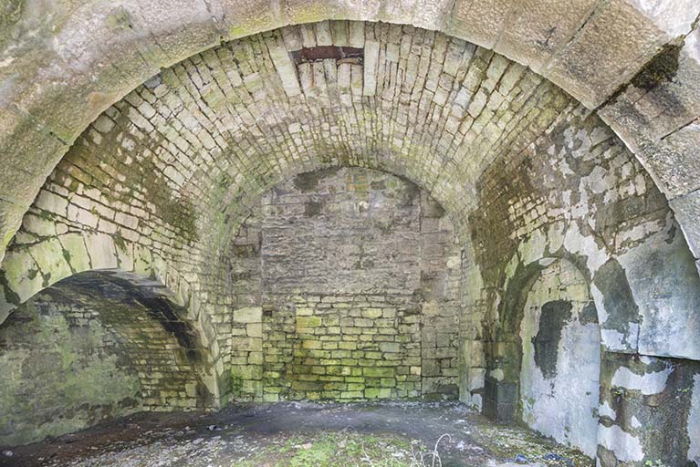 Pièce voûtée en berceau, située au nord de la tour est (vestiges du bâtiment construit en 1661 ?).