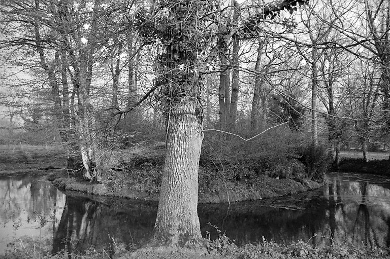 Motte au sud du logis.