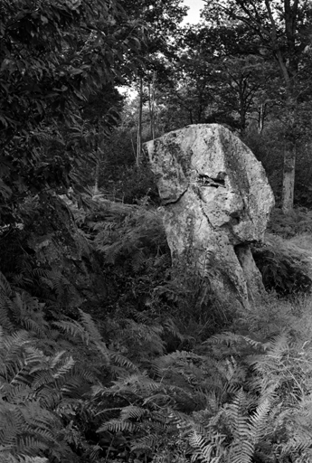 Menhir dit la Pierre du Coq et la Poule