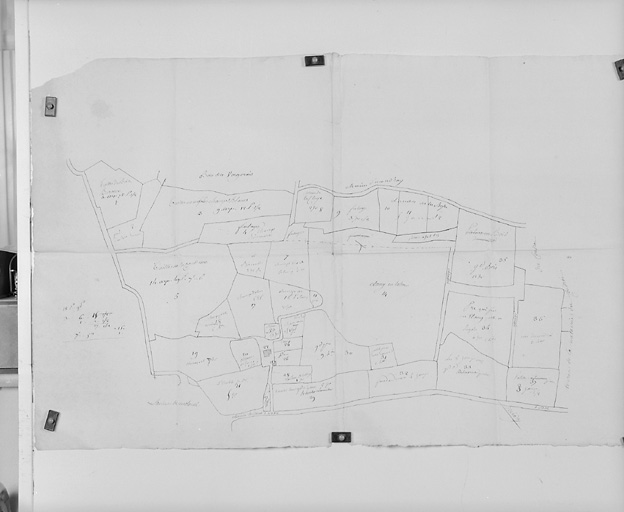 Plan-terrier du Collège de la Flèche : taillis du Coudraye et landes de La Bosse.