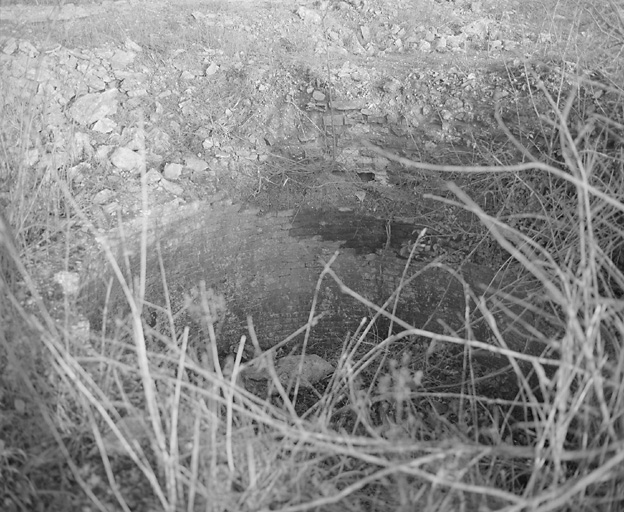 Vestiges d'une gueule de fourneau.