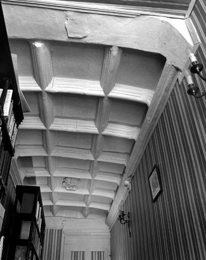 Couloir d'accès à la cour arrière, passant sous l'escalier : détail du plafond.