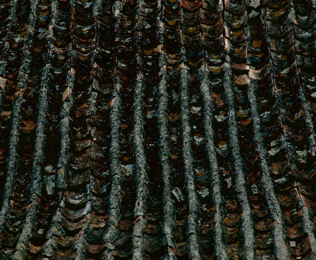 Bâtiment sud-ouest. Versant sud-est de la toiture : détail de la couverture.