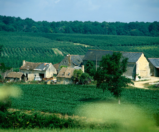 Vue d'ensemble depuis sud.