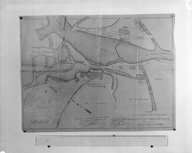 'Plan de la manufacture de chicorée Williot fils à Sablé-sur-Sarthe'.