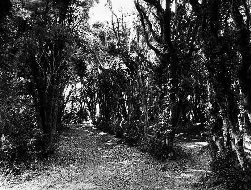 Fabrique de verdure : deux galeries.