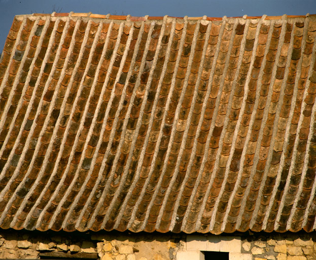 Détail de la couverture en tuiles creuses, dites tuiles baugeoises.