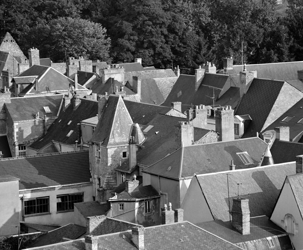 Vue cavalière de la face postérieure.