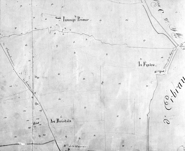 Les Briotais, extrait du plan cadastral de 1832, section D 1, n° 126-127, éch. 1:2000e.