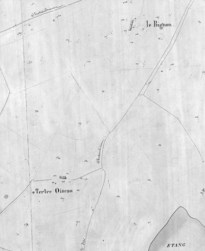 Le Bignon, le Tertre-Oiseau, extrait du plan cadastral de 1830, section E 2