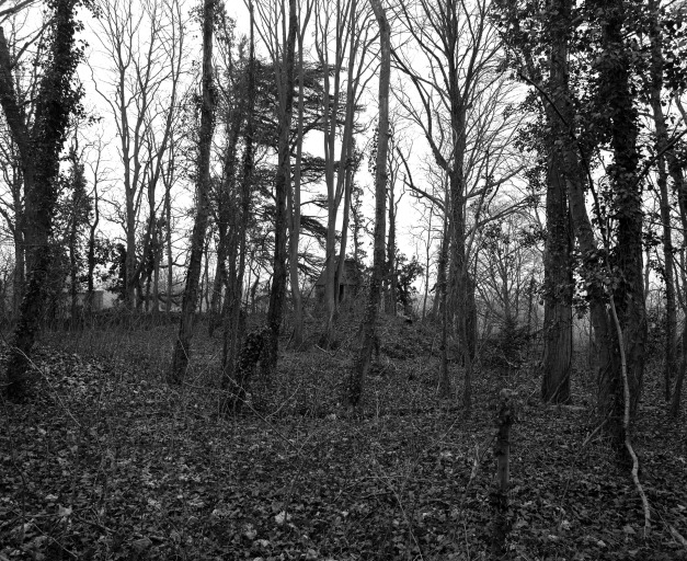 Motte de la Baudinière, ensemble depuis l'est.