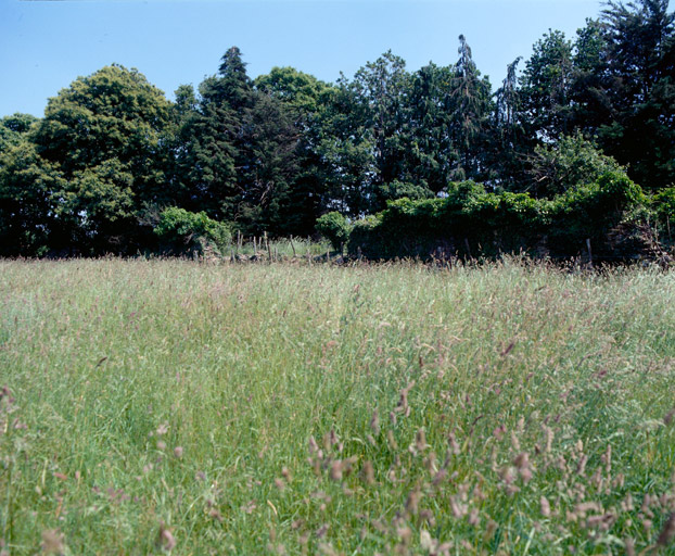 Vestiges du mur de clôture du parc de chasse au nord de la Sablière.