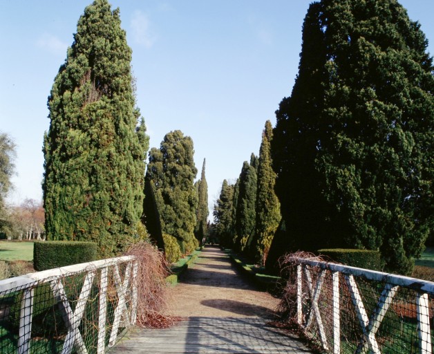 Jardin : allée de front.