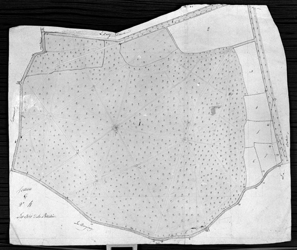 Plan de masse, extrait du 'plan des contributions foncières', section 6, n° 1, (Caillebert), [s. n., 1792]